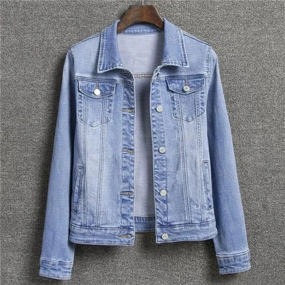Evane Denim Jacket - view 9