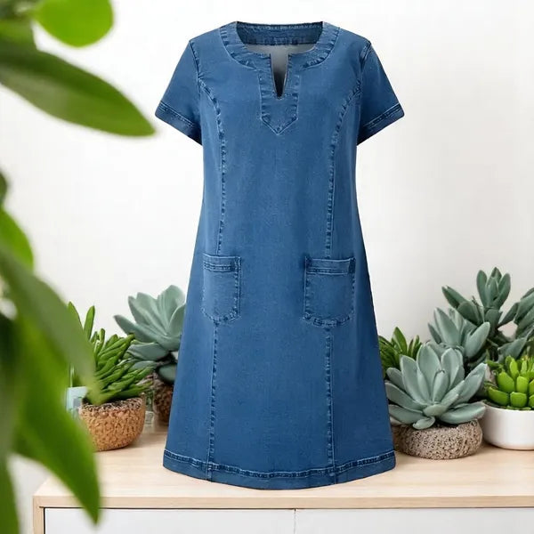 Blue Short Sleeve Denim Shift Dress flatlay on stand with succulents background